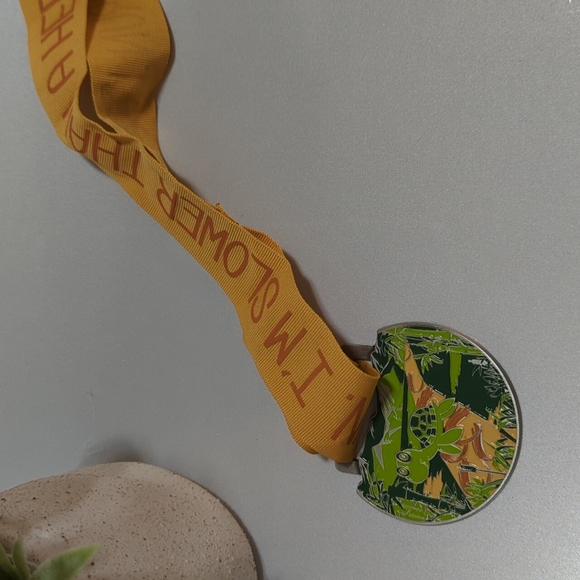 Turtle Virtual Race Medal - Picture 1 of 2